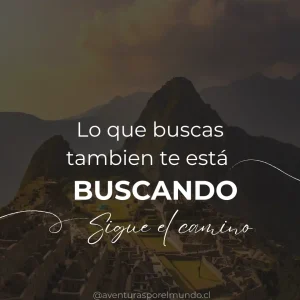 Buscando