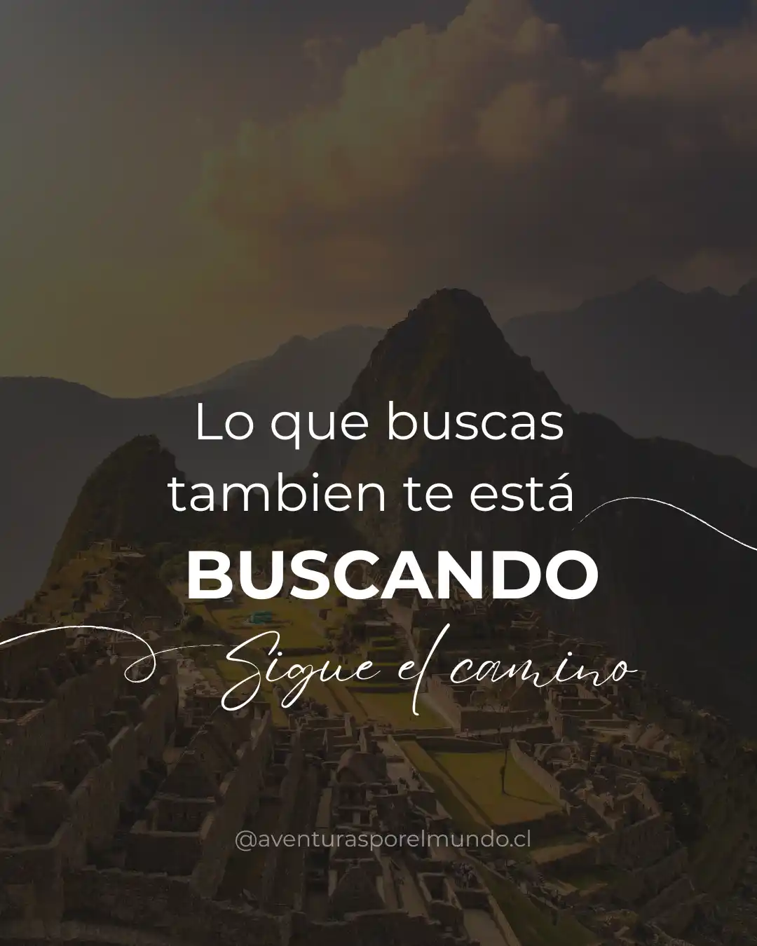 Buscando